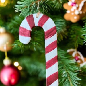 IMG_1985-e1727087412739.jpg Sukkerstang