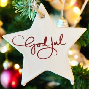 IMG_2372.jpg stjerne